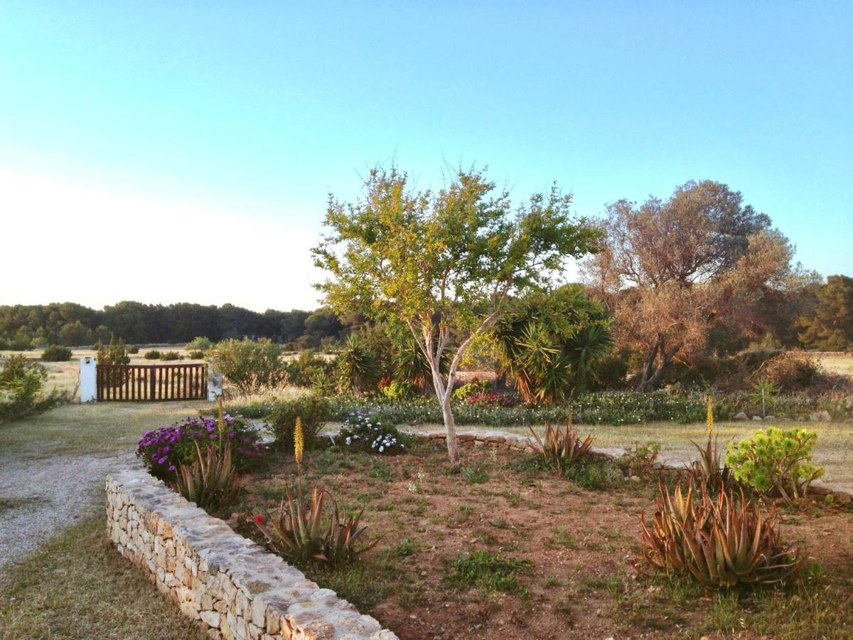 Ses Oliveres กาลาซาโอนา ภายนอก รูปภาพ